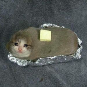 Meet your Posher, Austin